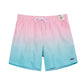 Color Gradient Collection Holiday Swim Shorts