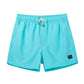 Solid Colors Design Collection Holiday Swim Shorts