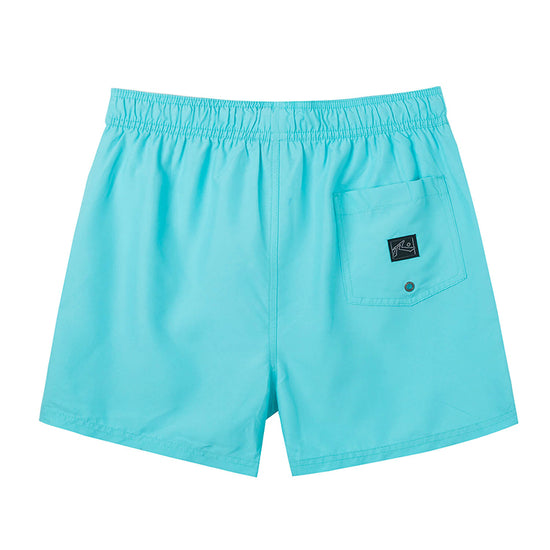Solid Colors Design Collection Holiday Swim Shorts